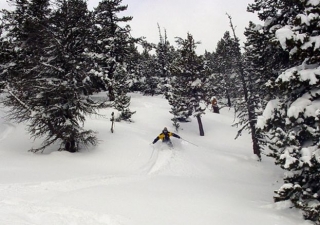  Clases de esquí adulto experto 